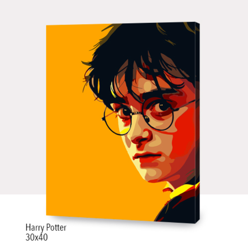 Kit Paint by numbers 30x40 Harry Potter | WC7011