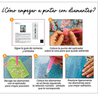 Kit Diamond Painting sin bastidor 35x45 Mono cool | WD1613