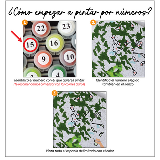 Kit Paint by numbers 50x65 Botes de colores| WG6754