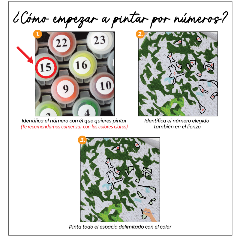 Kit Paint by numbers 50x65 Botes de colores| WG6754