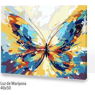 🎨Kit Paint by numbers con bastidor 40x50cm: Luz de mariposa | WC2576