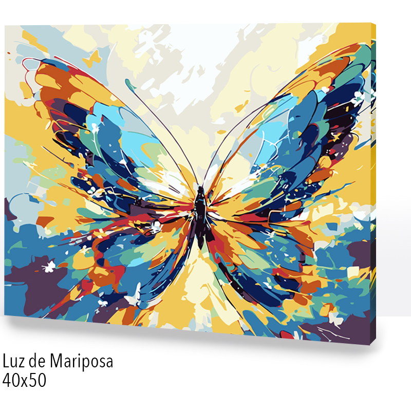 🎨Kit Paint by numbers con bastidor 40x50cm: Luz de mariposa | WC2576