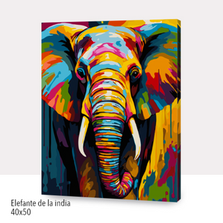 Kit Paint by numbers 40x50 Elefante de la india | WC1255