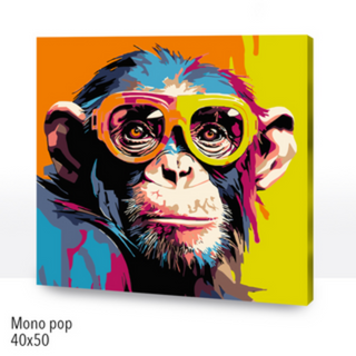 🎨Kit Paint by numbers con bastidor 40x40cm: Mono pop | WC2588