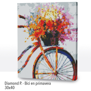Kit Diamond Painting con bastidor 30x40 Bici en primavera | WDF1614