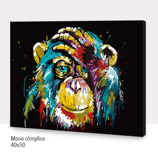 Kit Paint by numbers 40x50 Mono cómplice | WC1021 