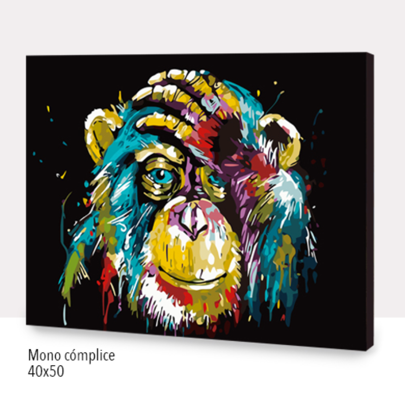 Kit Paint by numbers 40x50 Mono cómplice | WC1021 