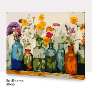 🎨Kit Paint by numbers con bastidor 40x50cm: Botellas vivas | WC7018