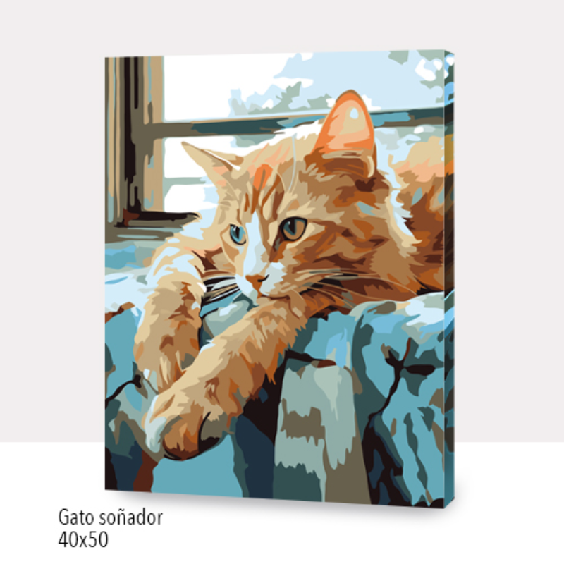 Kit Paint by numbers 40x50 Gato soñador | WC7018