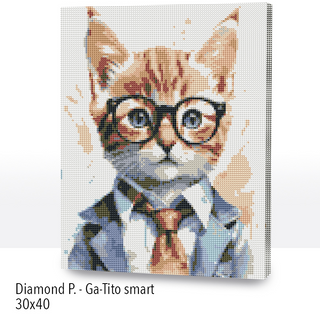 Kit Diamond Painting con bastidor 30x40 Ga-Tito smart |WDF1203