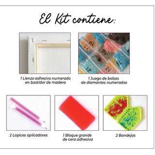 Kit Diamond Painting con bastidor 30x40 Ga-Tito smart |WDF1203