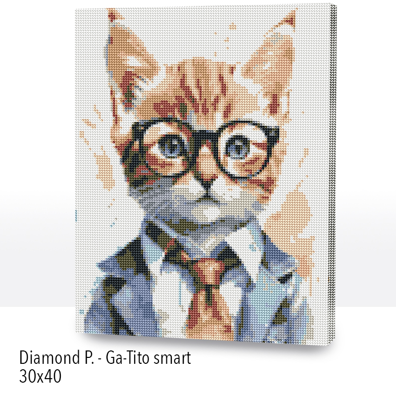 Kit Diamond Painting con bastidor 30x40 Ga-Tito smart |WDF1203