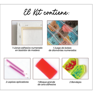 Kit Diamond Painting con bastidor 30x40 BT21 | WDF1608