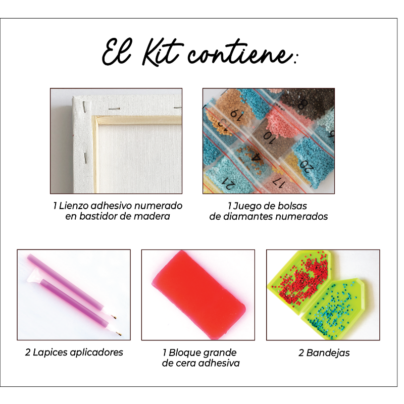 Kit Diamond Painting con bastidor 30x40 BT21 | WDF1608
