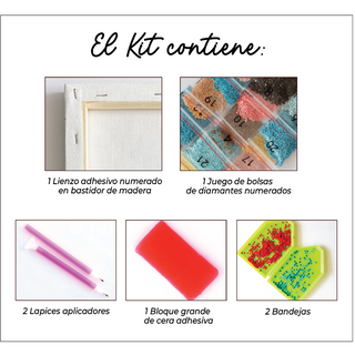 Kit Diamond Painting con bastidor 30x40 Lamine futuro | WDF1210