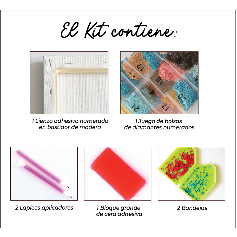 Kit Diamond Painting con bastidor 30x40 Lamine futuro | WDF1210