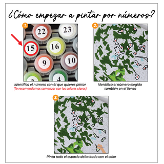 Kit Paint by numbers 50x65 Villa al lado del mar-Italia | WG4589