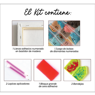 Kit Diamond Painting con bastidor 30x40 Bici en el jardín | WDF1914