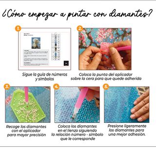 Kit Diamond Painting con bastidor 30x40 Bici en el jardín | WDF1914