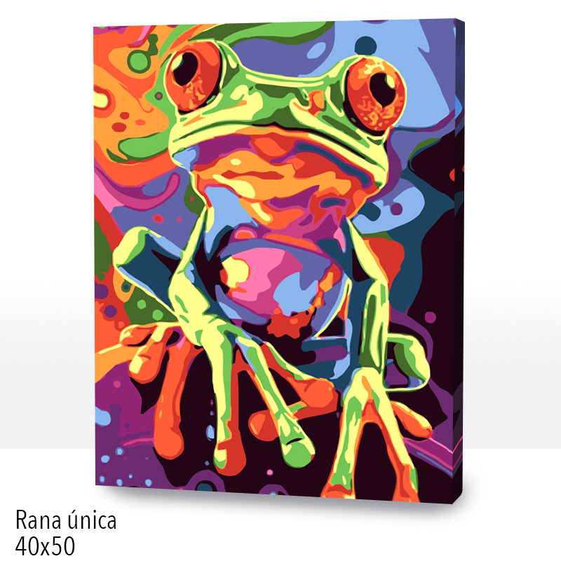 Kit Paint by numbers 40x50 Rana única | WC2586
