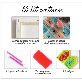 Kit Diamond Painting con bastidor 30x40 Rana con lentes | WDF1611