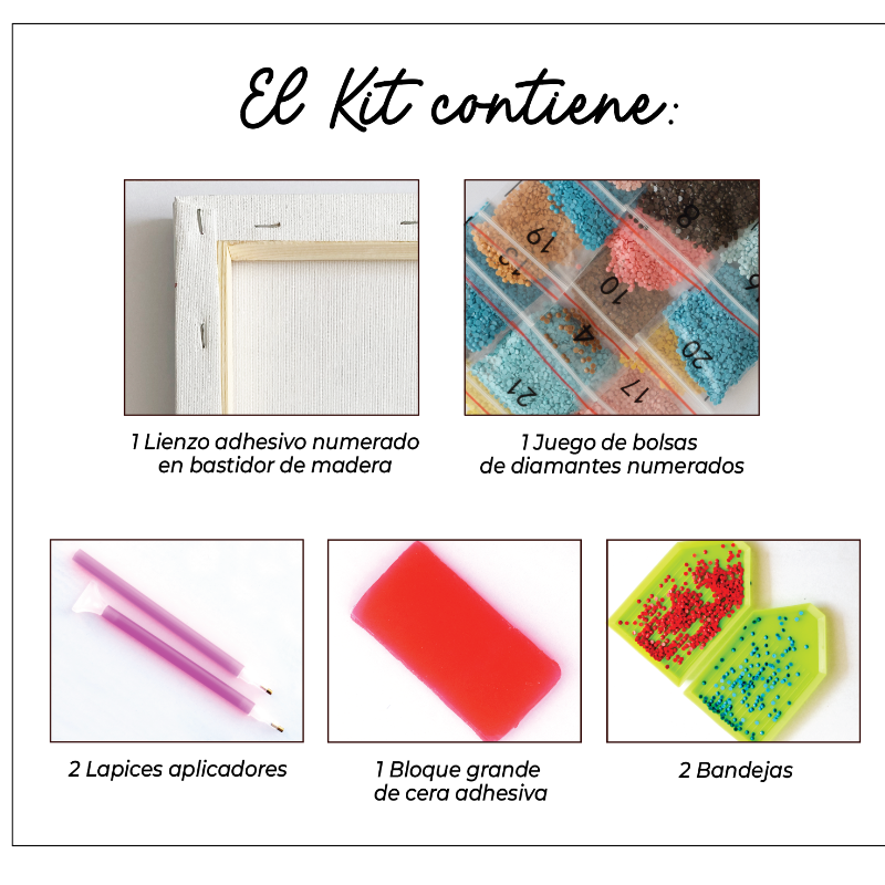 Kit Diamond Painting con bastidor 30x40 Rana con lentes | WDF1611