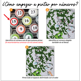 Kit Paint by numbers 40x50 Bailarina moderna | WC2571