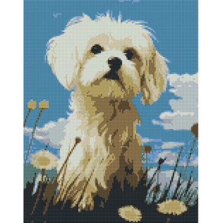 Kit Diamond Painting sin bastidor 35x45: Explorador peludo | WD1027