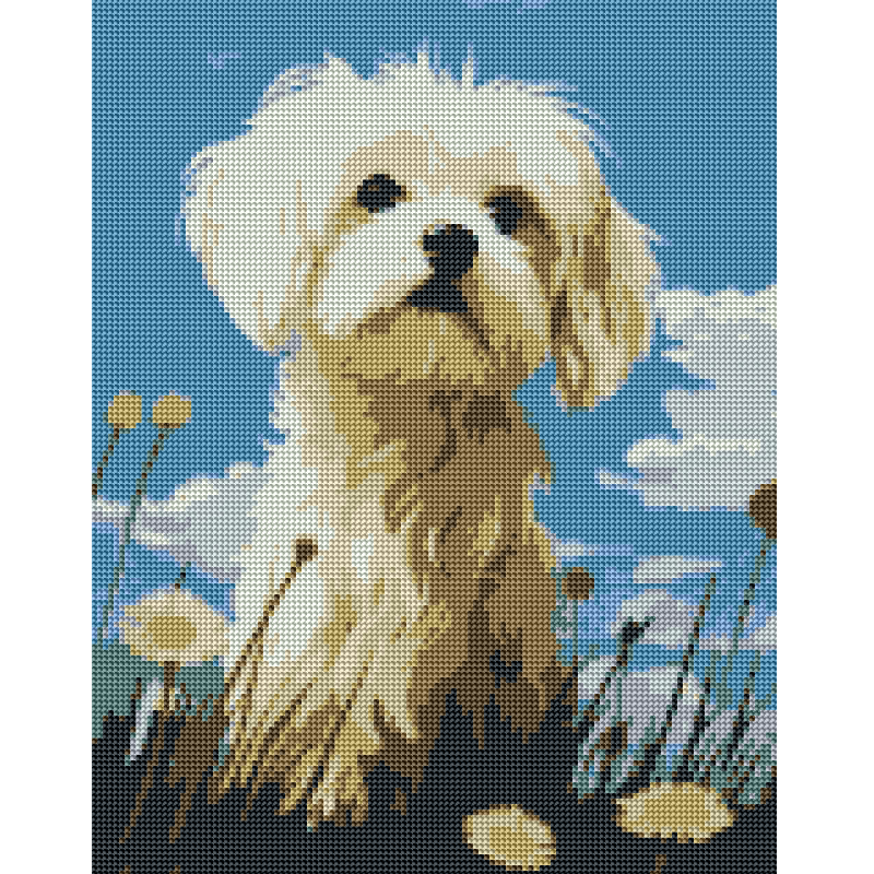 Kit Diamond Painting sin bastidor 35x45: Explorador peludo | WD1027