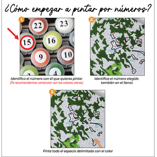 Kit Paint by numbers 40x50 Gallo colorido | WC6752 