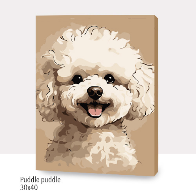 🎨Kit Paint by numbers con bastidor 30x40cm: Puddle Puddle | WC1253✨ NEW✨