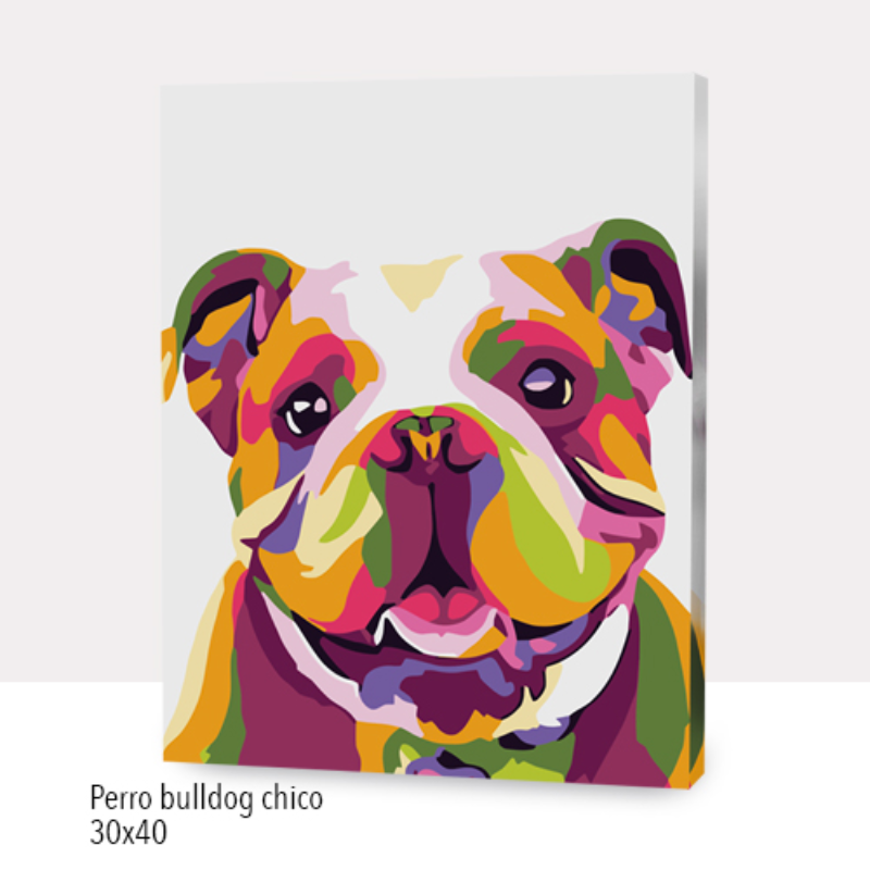Kit Paint by numbers 30X40 Perro bulldog chico | WC7024