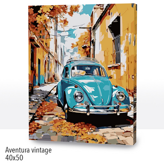 Kit Paint by numbers 40x50 Aventura vintage | WC2566