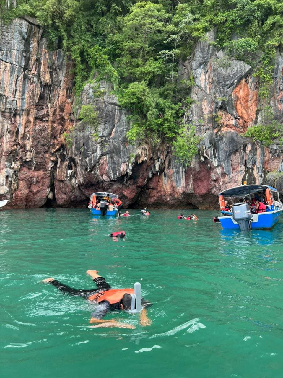 MANGROVE TOUR - 4 HOURS PACKAGE (PRIVATE BOAT)  Main Image