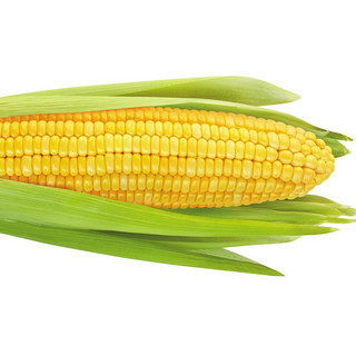 Corn