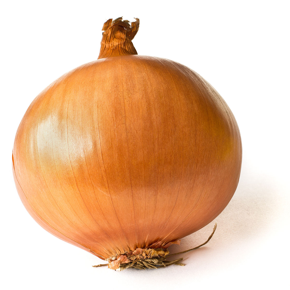 Onions Main Image