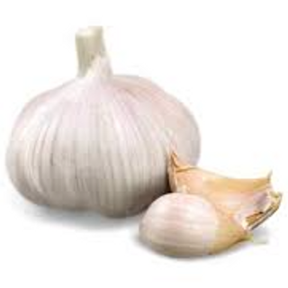 Garlic