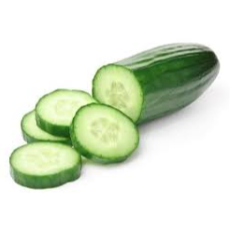 Cucumber Medium  Main Image