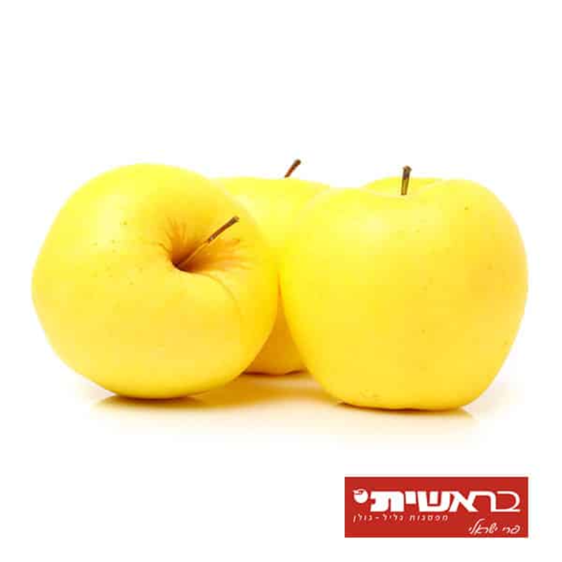 תפוח עץ "בראשית" מוזהב