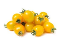 עגבניות שרי צהוב