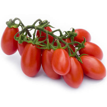 עגבניות שרי תמר Image