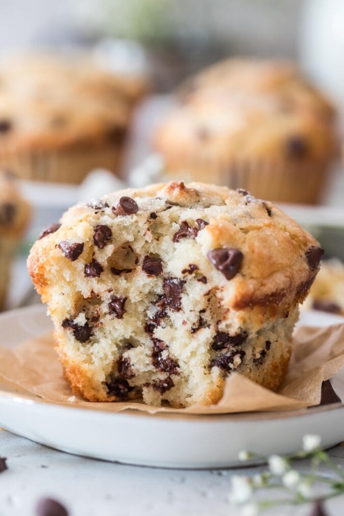 Chocolate Chip Muffins