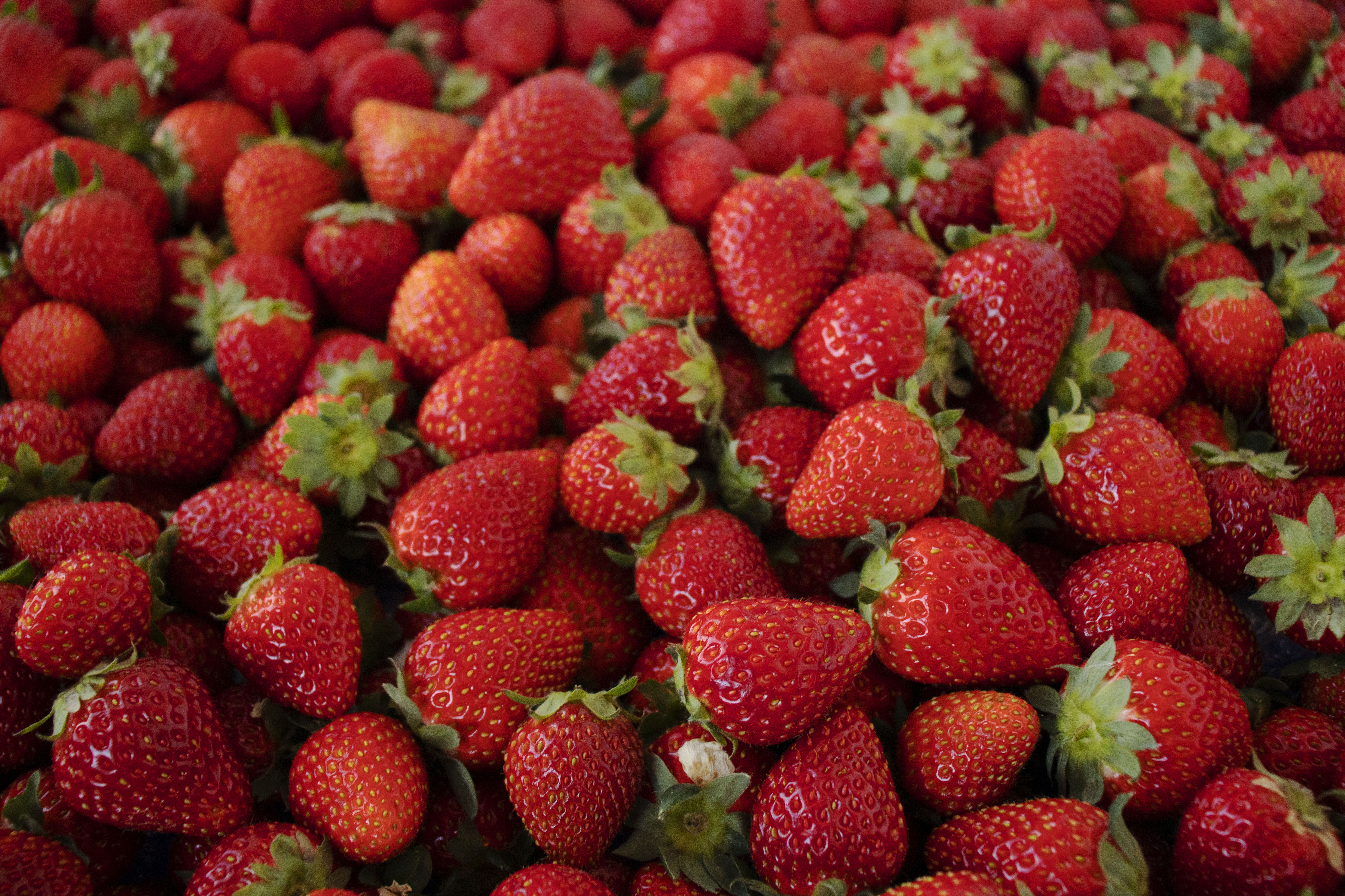 Dutchess Strawberries (Bulk for Food Service, When Available)