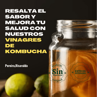 Vinagre probiótico de kombucha x 500 ml