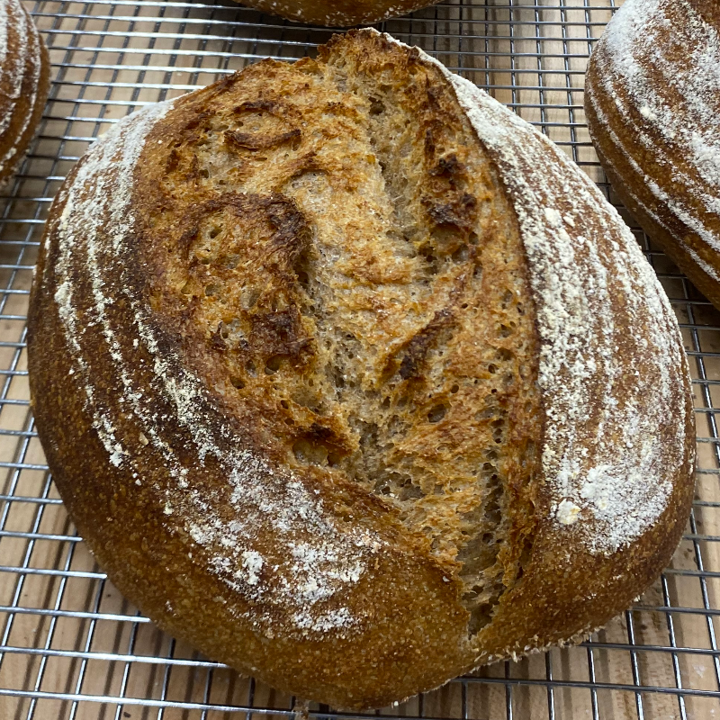 Red Fife Heritage Wheat Sourdough -- Half Loaf Main Image