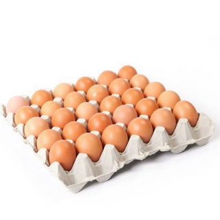 Telur Gred A Sepapan