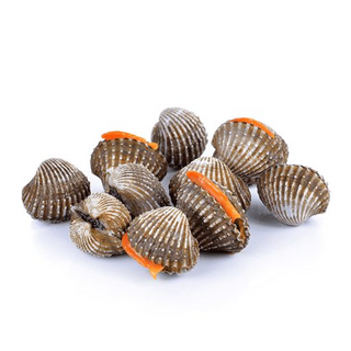 Kerang