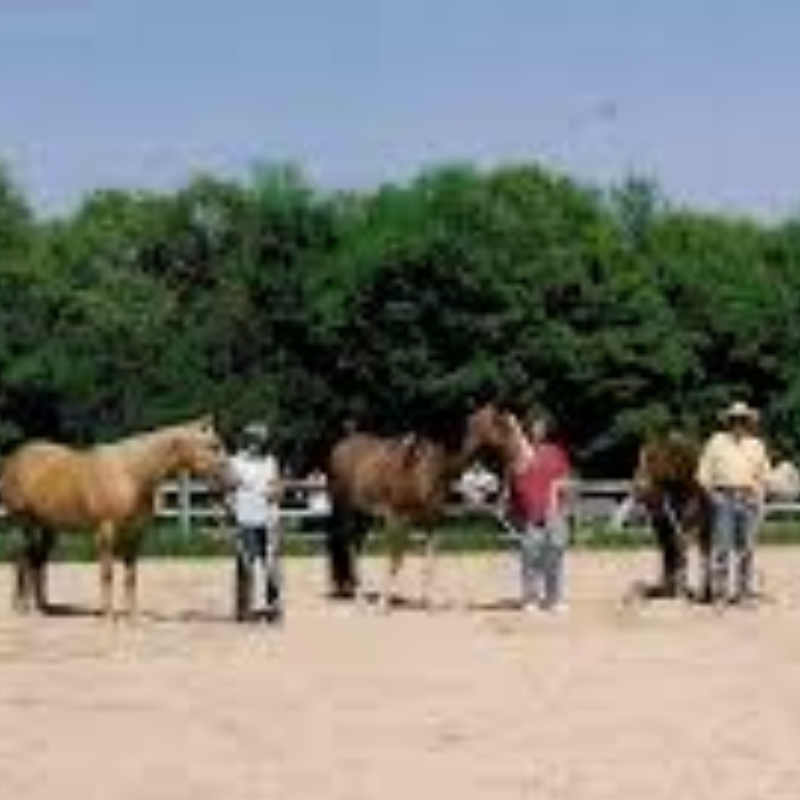 GROUNDWORK ESSENTIALS - CLASS AUDITOR