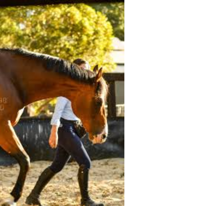 GROUNDWORK ESSENTIALS (4 CLASSES)