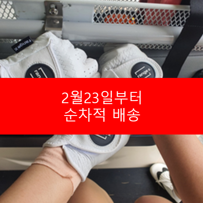9) 레인지엑스 골프장갑(합피)